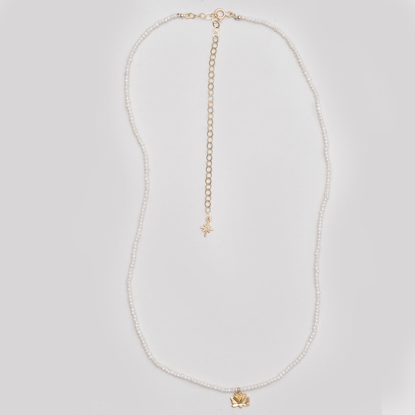 lotus mini pearl